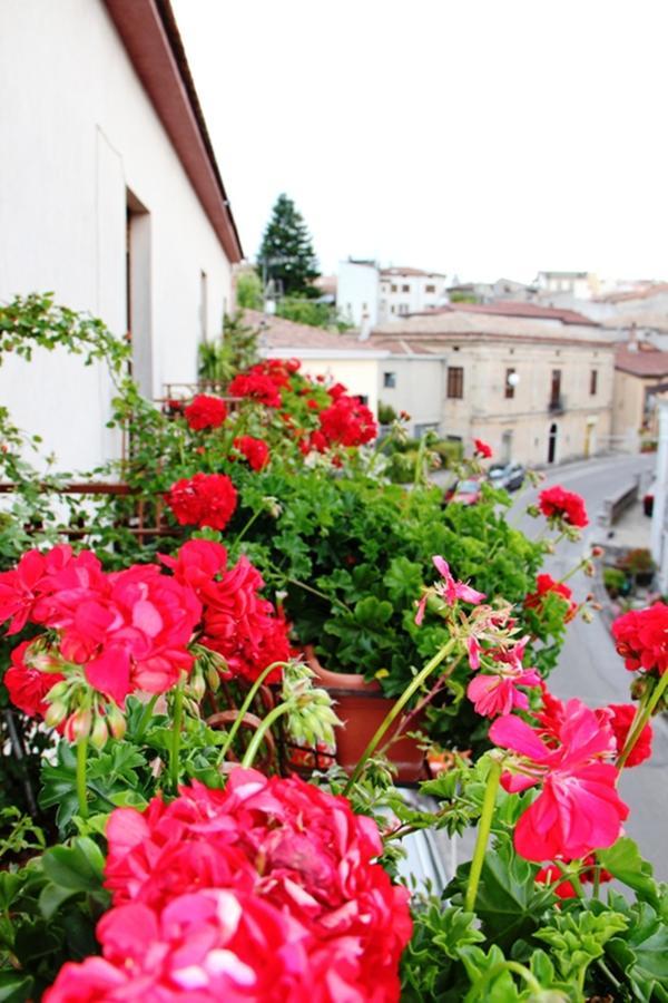 B&B Da Peppe Rotonda Exterior foto